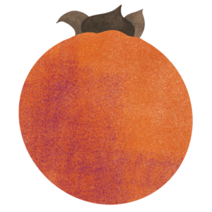 illustration of persimmon