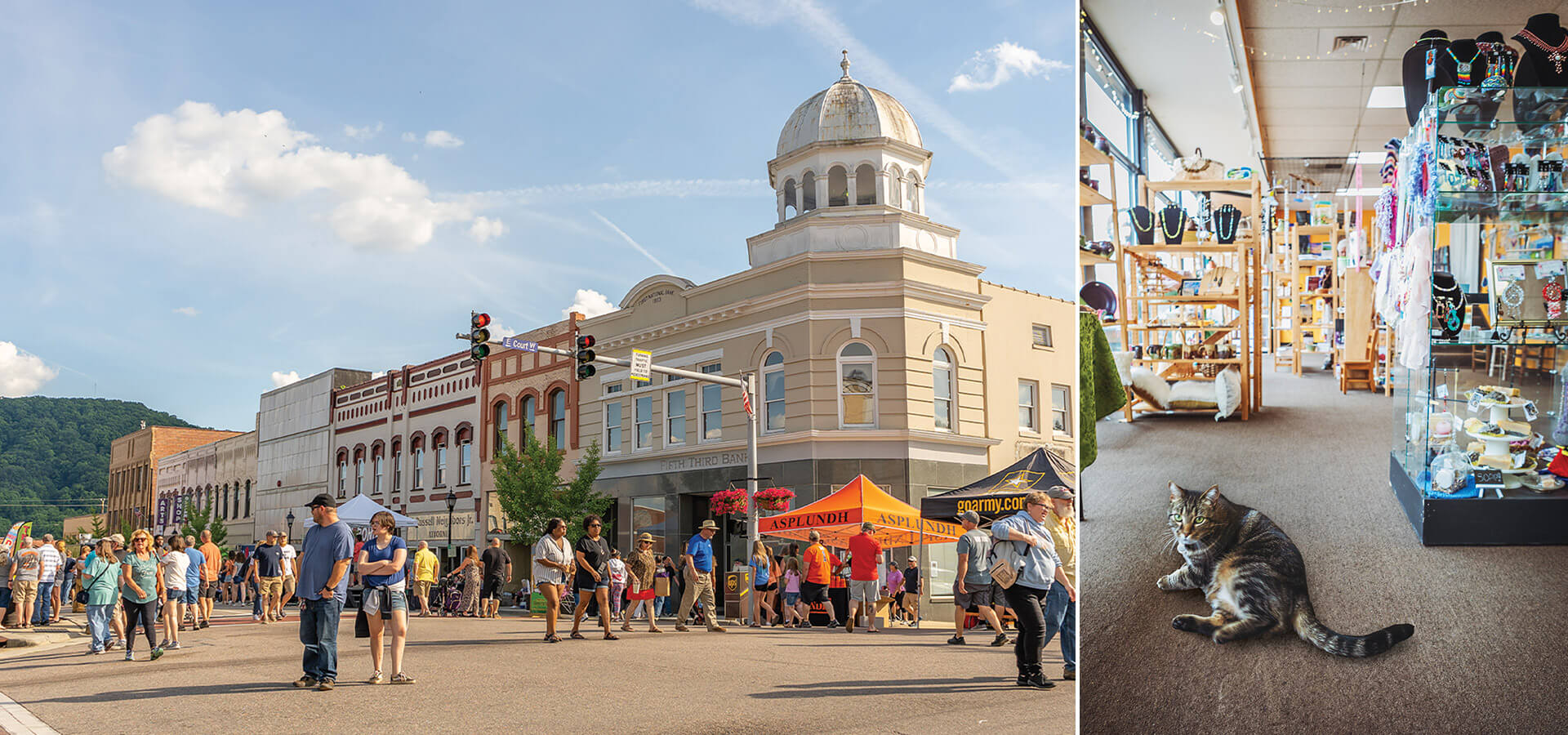 Downtown Marion and Biscuit the cat at the McDowell Arts Council