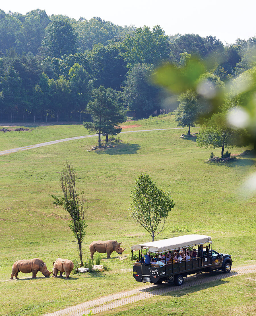 The Zoofari tour at the North Carolina Zoo