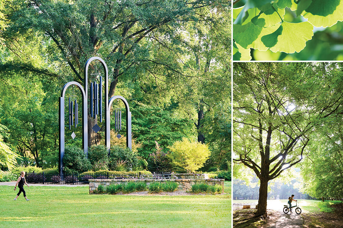 Greensboro Arboretum with the Lawrence and Alma Louise Hart Chimes, ginkgo tree, and person on bike.