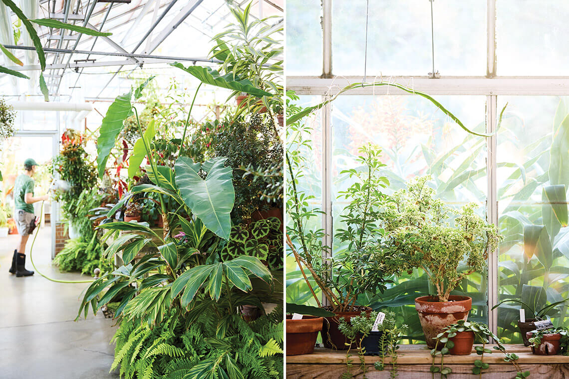 McMillan Greenhouse in Charlotte