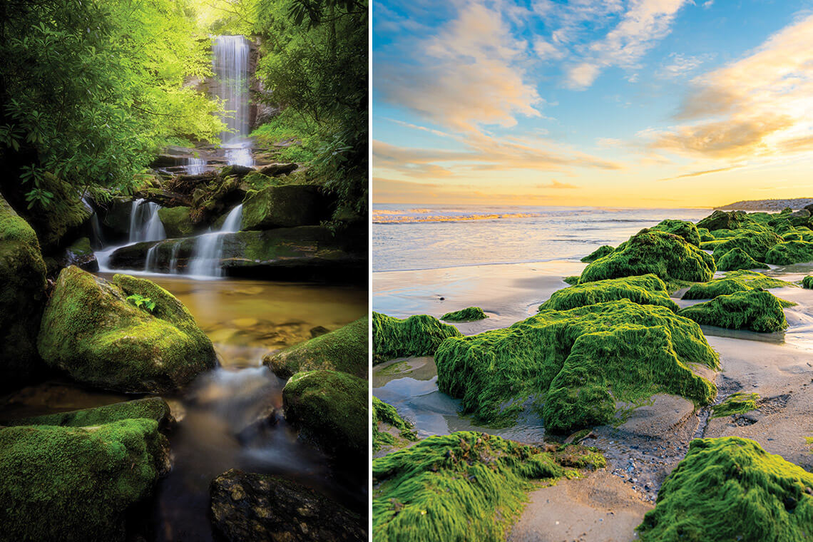 Raven Rock Falls in Nantahala National Forest and outcrop of coquina rocks