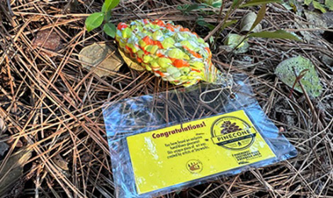 Glass pinecone in Pinehurst