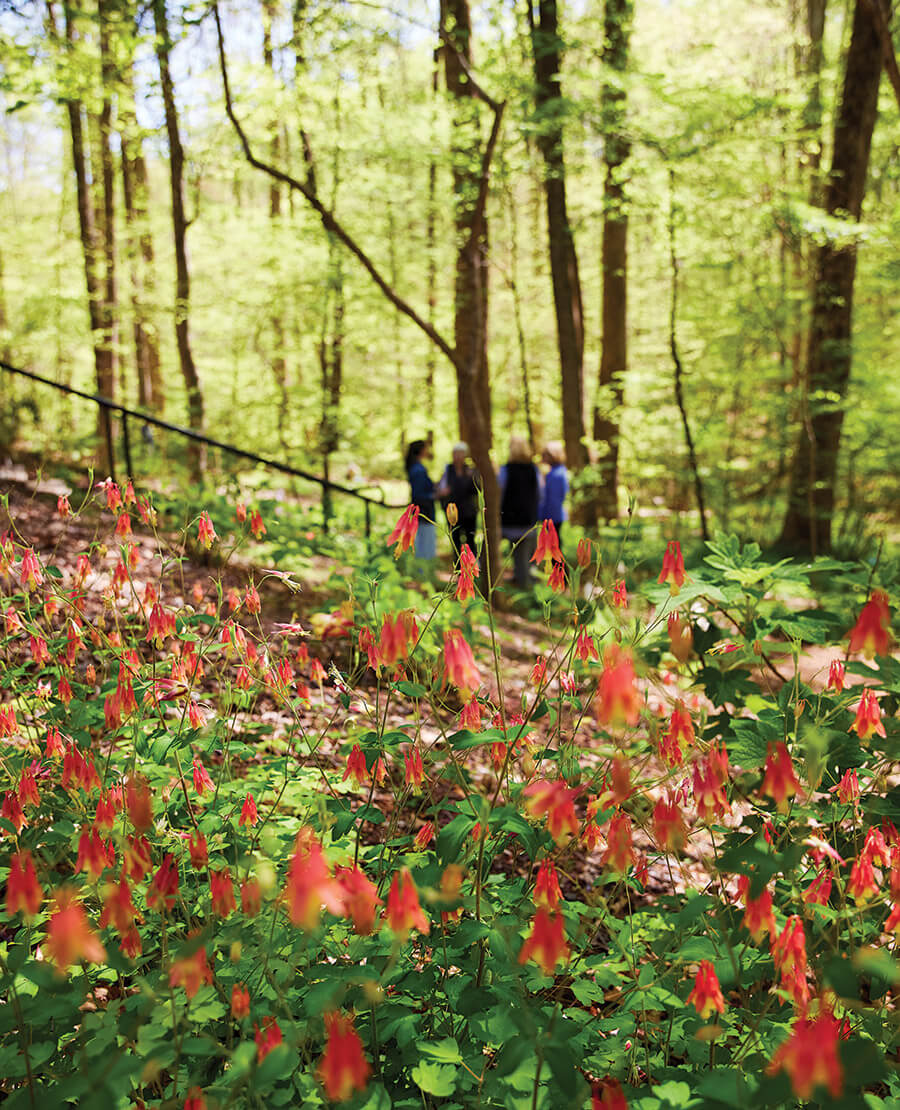 Visitors in the Emily Allen Wildflower Preserve