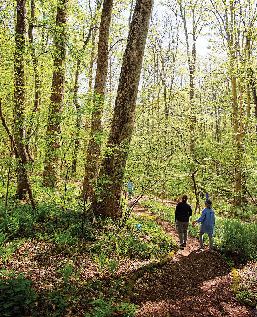 Visitors explore through the Emily Allen Wildflower Preserve