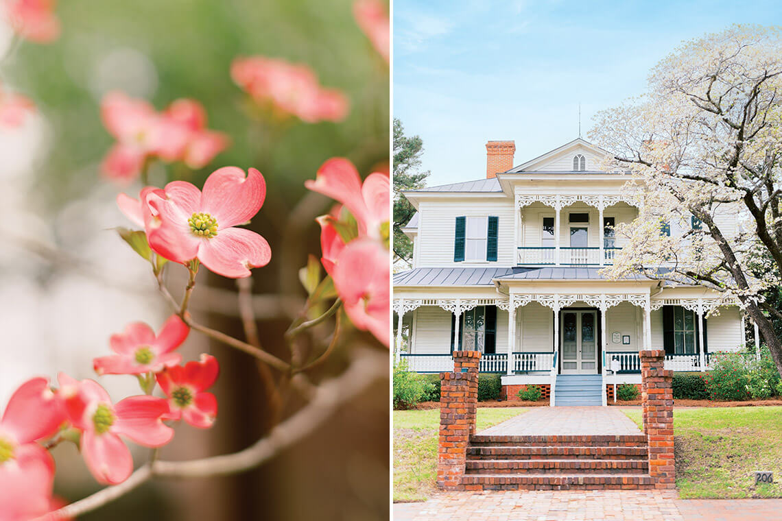 Blooms on a dogwood tree and the 1897 Poe House in Fayetteville