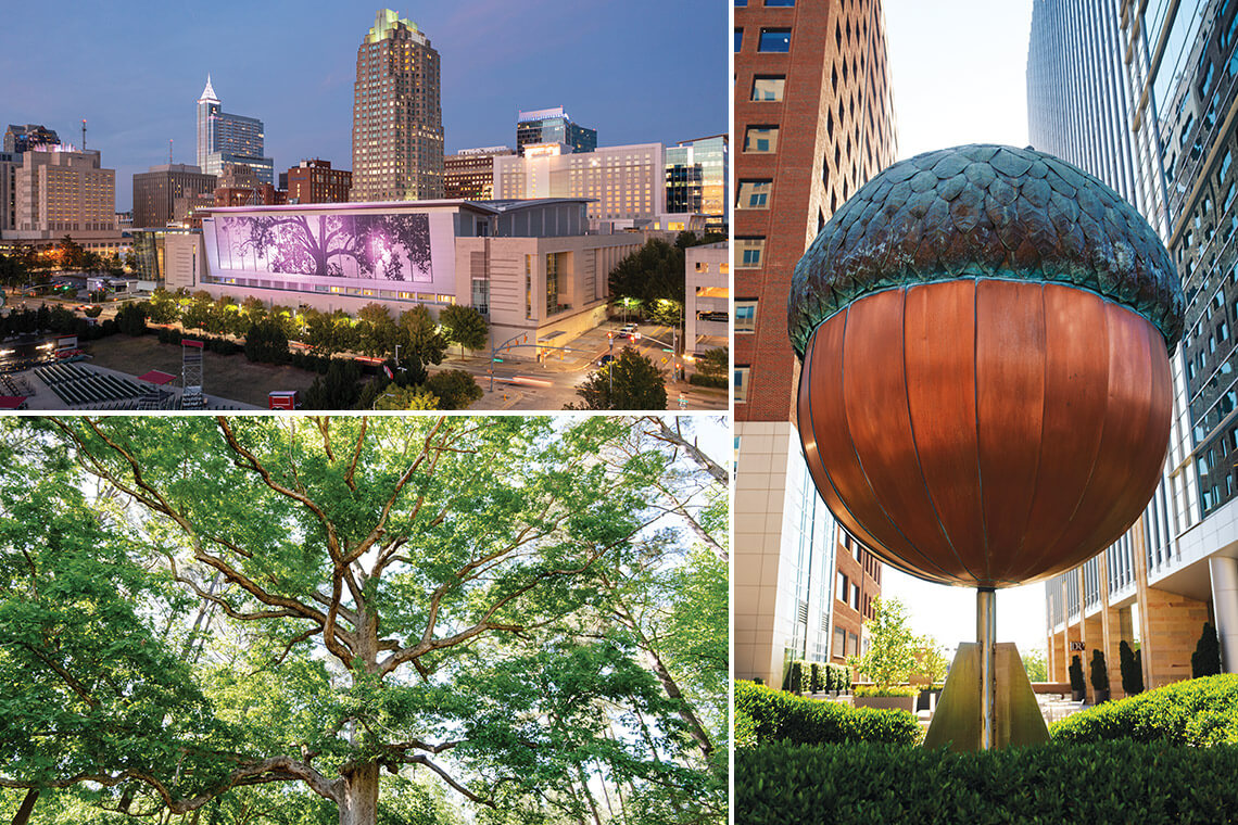 The Raleigh Convention Center, the Great Raleigh Acorn, and a White Oak tree in Raleigh