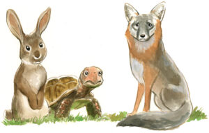 Illustration of bunny, turtle, and fox