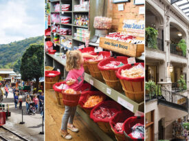 Tweetsie Railroad, Lexington's Candy Factory, and the Grove Arcade.