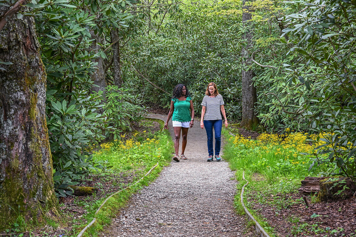 Women walking the trails in Julian Price Memorial Park