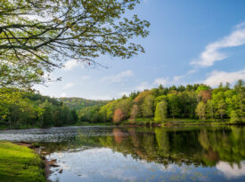Bass Lake at Moses H. Cone Memorial Park