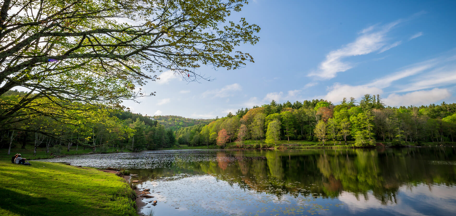 Bass Lake at Moses H. Cone Memorial Park