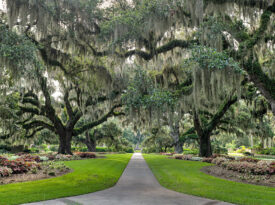 live oak allée at Brookgreen Gardens