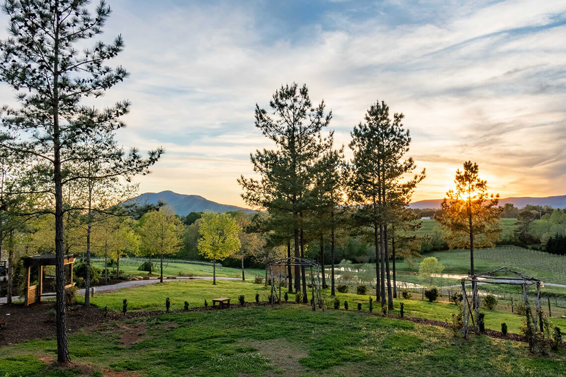 Sunset at Parker-Binns Vineyard