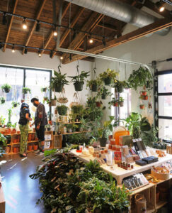 Hanging baskets at Grow