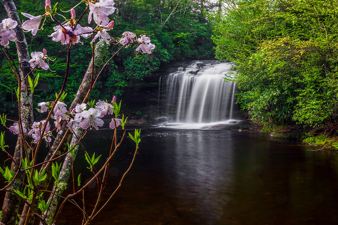 Schoolhouse Falls in Sapphire, NC