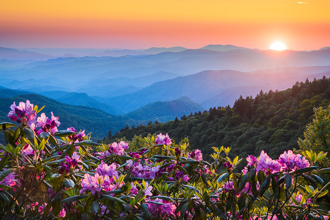 View of Waterrock Knob at sunset