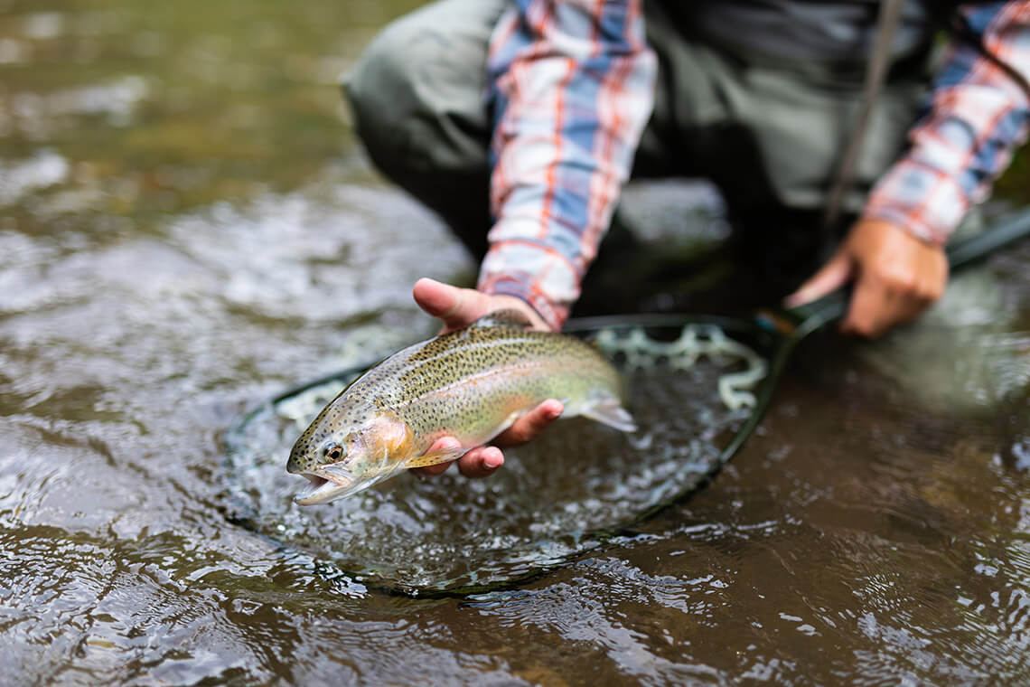 Angler holds mountain trout