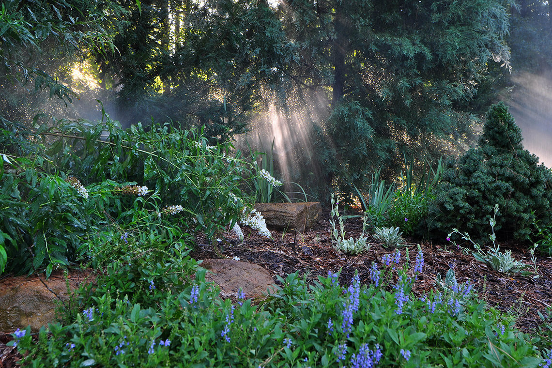 Cape Fear Botanical Garden