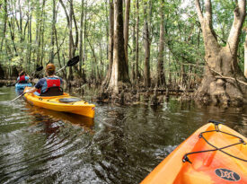 Kayaking in the Tar River