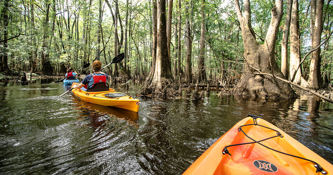 Kayaking in the Tar River