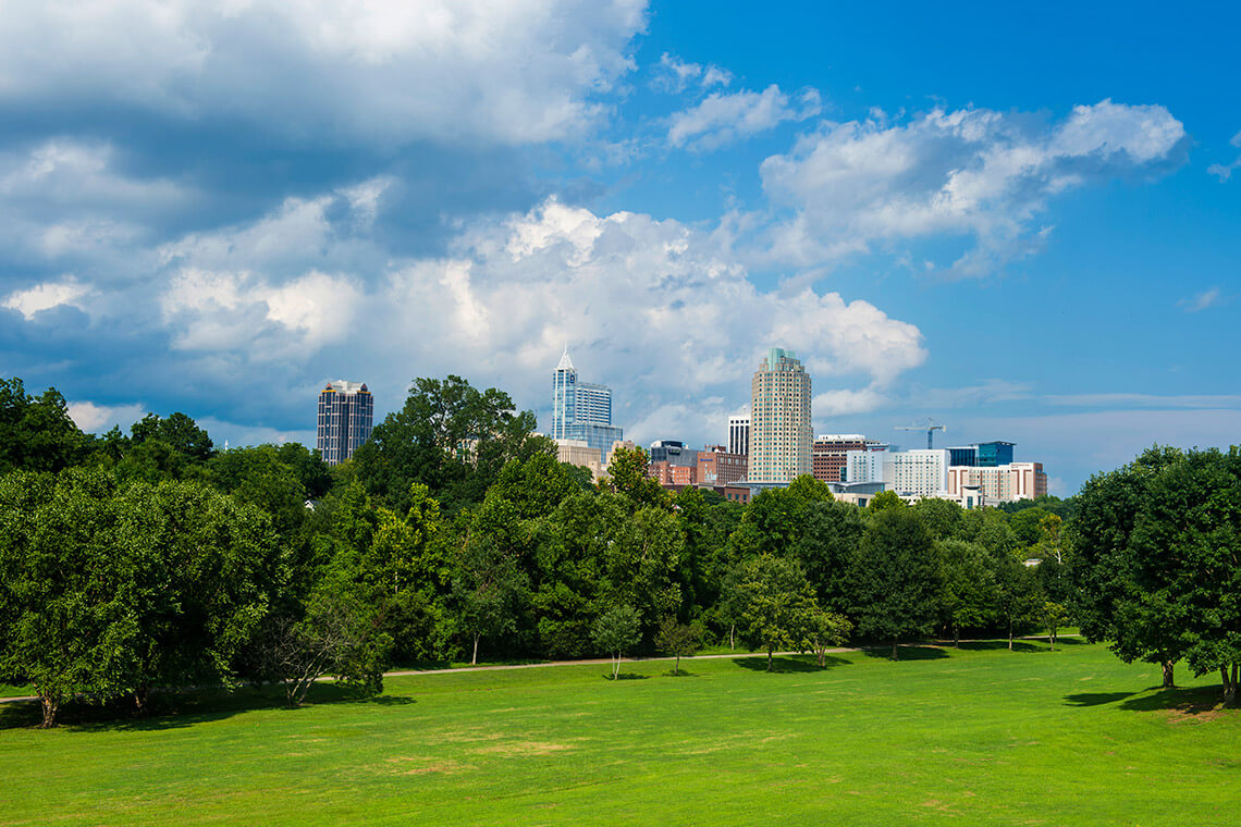 Green space at Dix Park