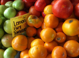 Tomatoes at the State Farmers Market
