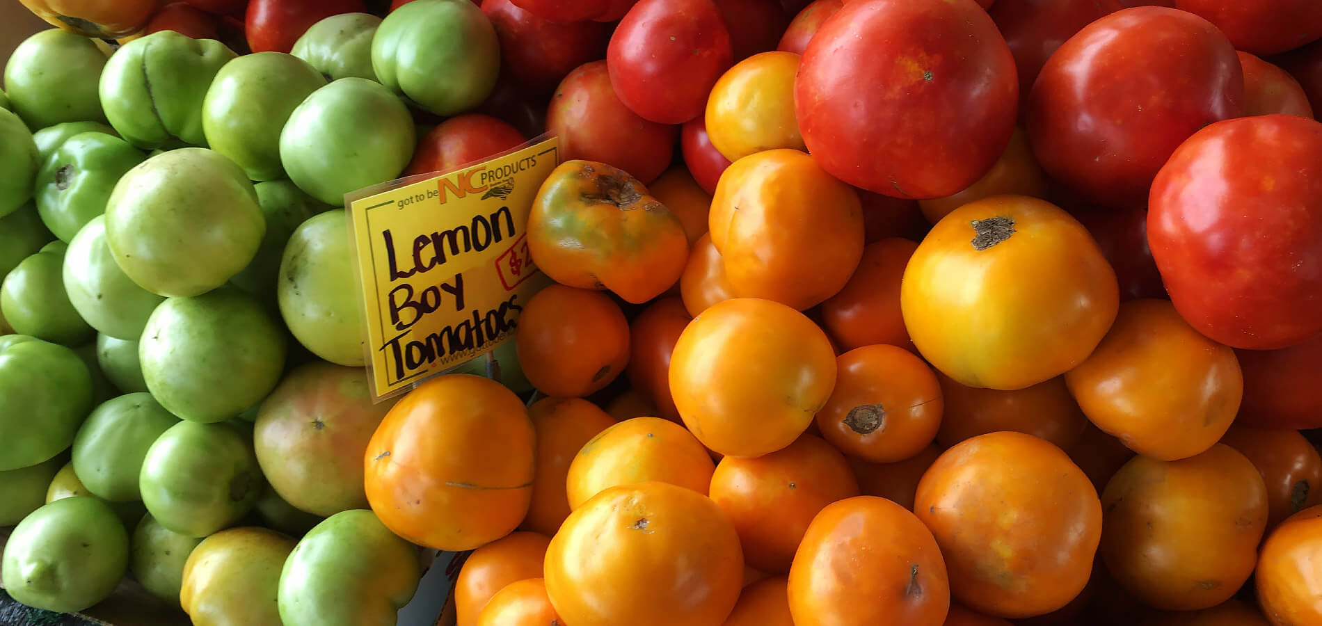 Tomatoes at the State Farmers Market