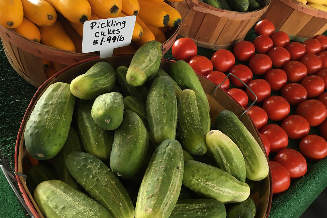 Pickling cucumbers at the State Farmers Market