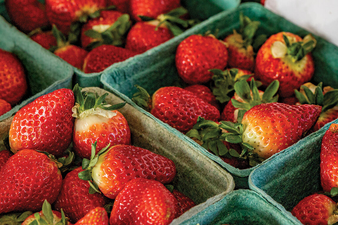 Quarts of strawberries at the State Farmers Market