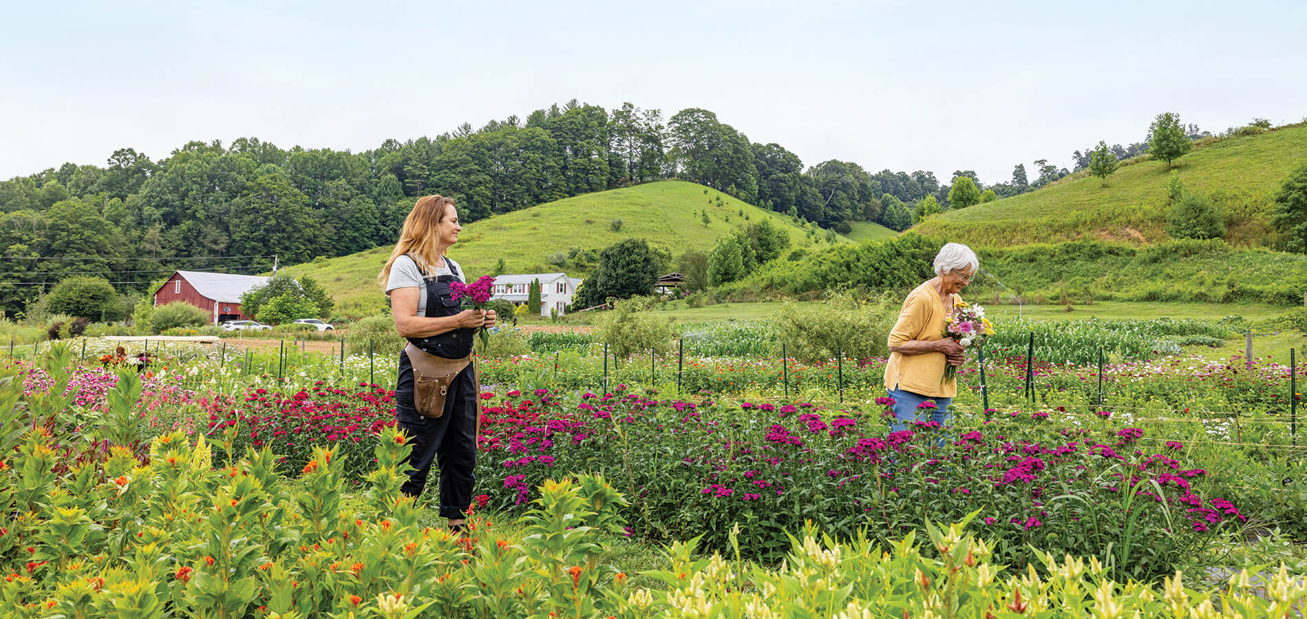 Amy and Jean Fiedler pick flowers at Springhouse Flower Farm