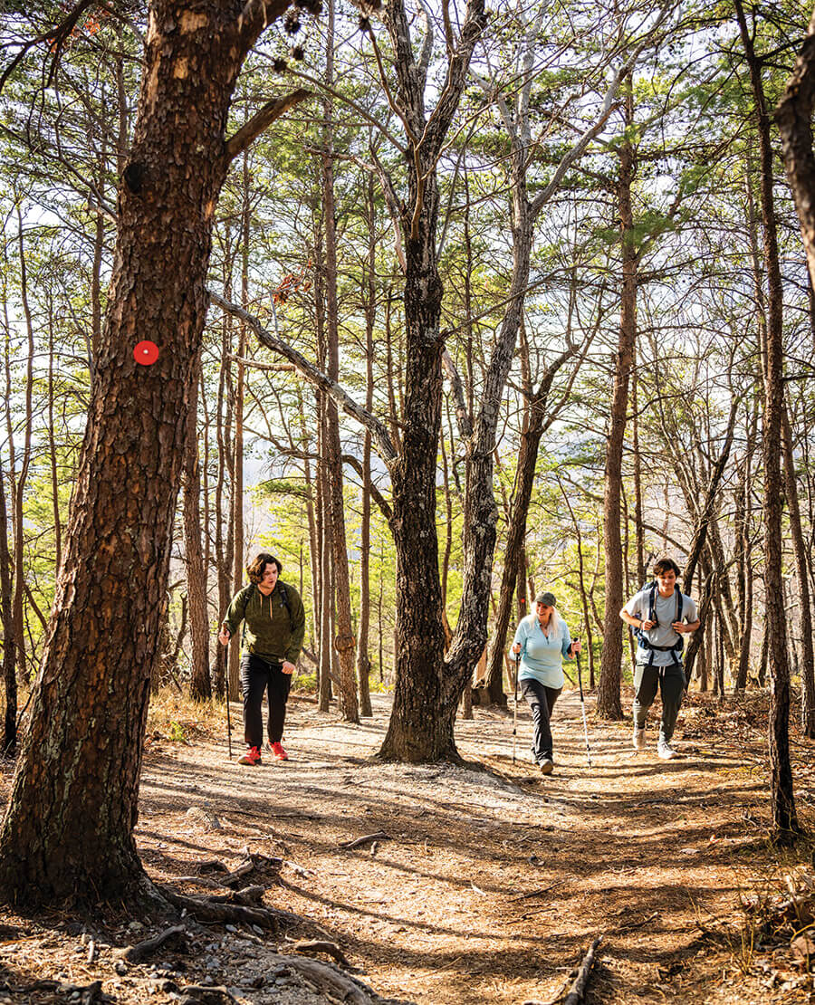 Writer and her sons hiking in North Carolina