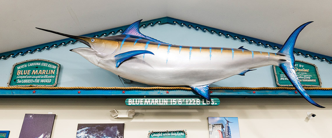 Record-setting blue marlin hanging over the dressing rooms