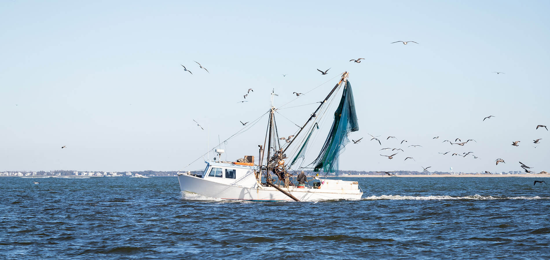 Commercial fishing boat returning to Wanchese