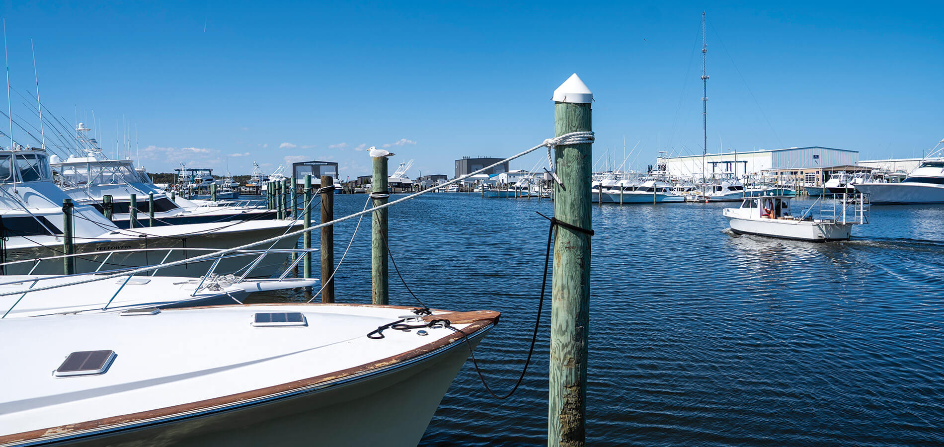 Boats docked in Wanchese