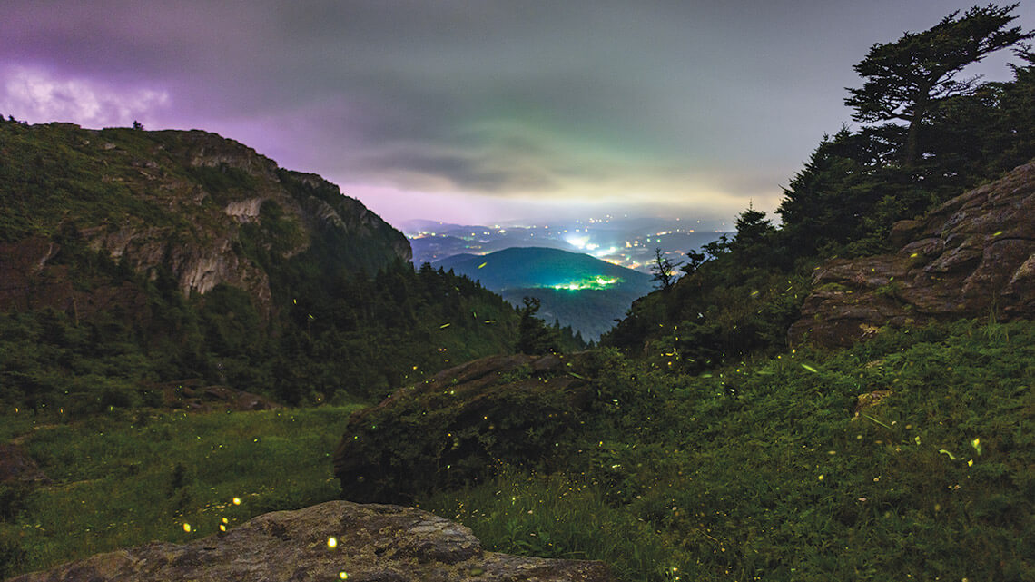 Grandfather Mountain glows with fireflies