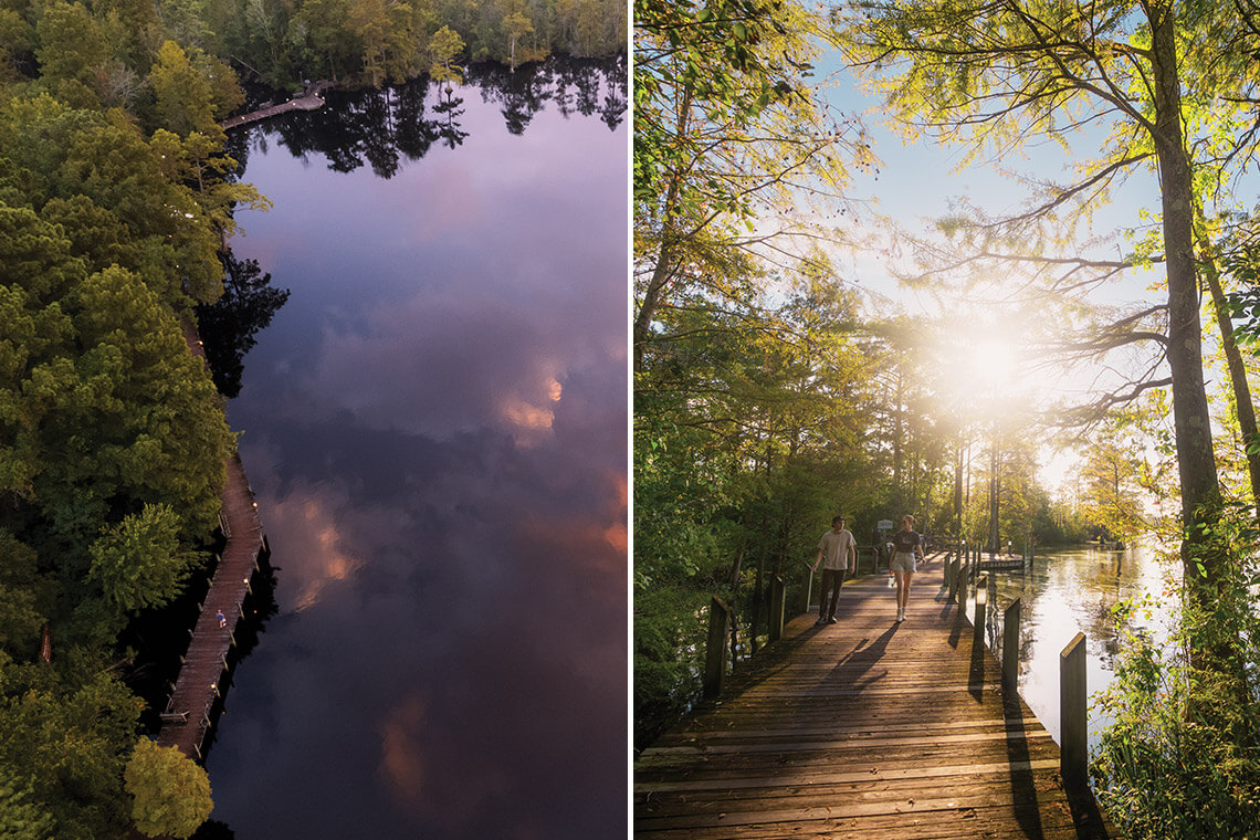 The Scuppernong River Interpretative Boardwalk in Columbia, NC