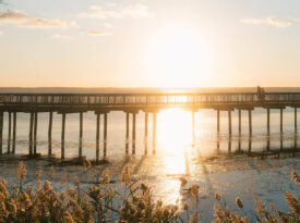 Duck Soundside Boardwalk