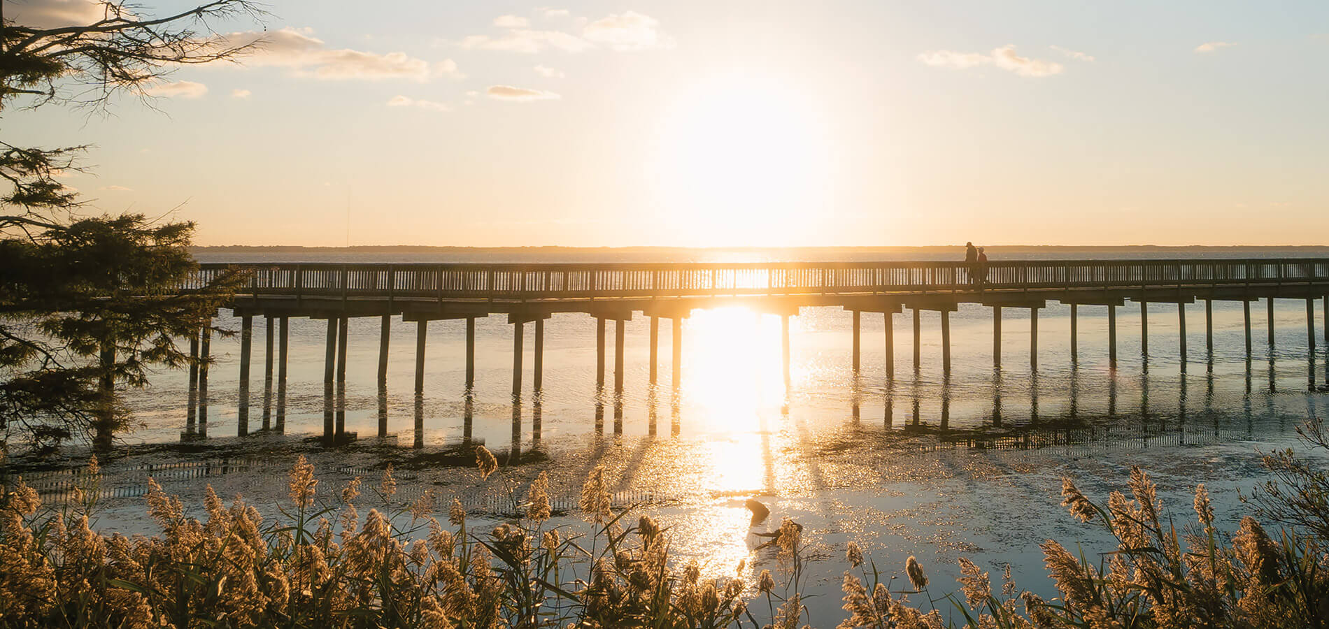 Duck Soundside Boardwalk