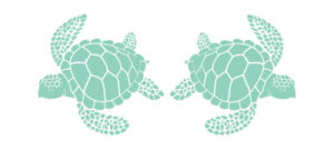 Illustration of two sea turtles
