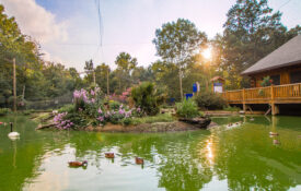 Sylvan Heights Bird Park