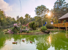 Sylvan Heights Bird Park