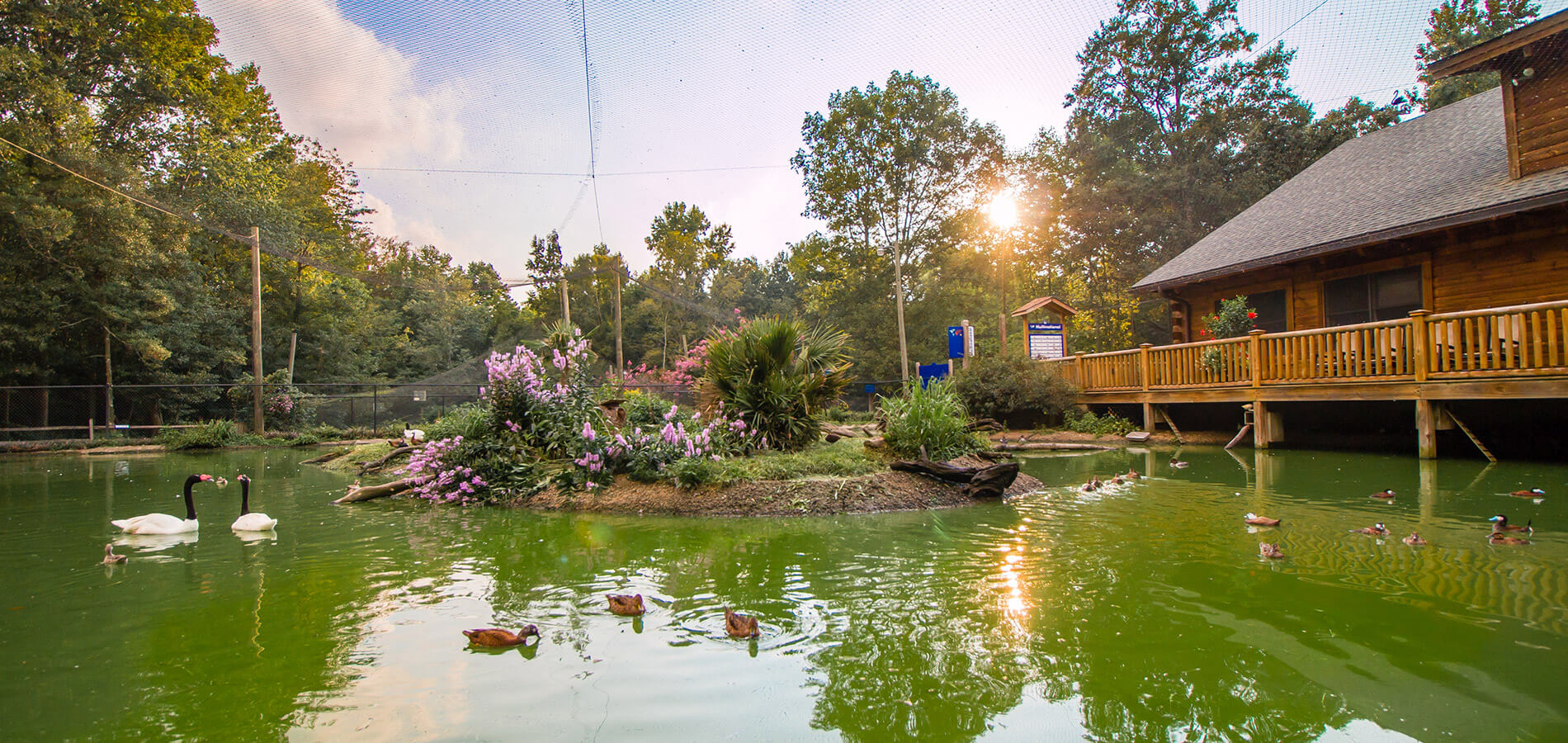 Sylvan Heights Bird Park