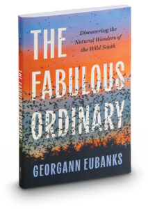 Cover of The Fabulous Ordinary