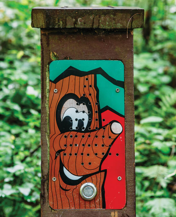 talking tree interactive sign in state forests