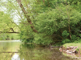 Writer and her dad fish in the Little River