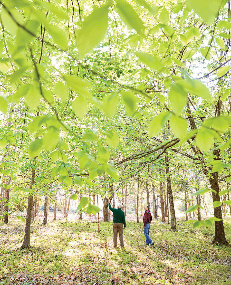 Francies and Romie with their trees