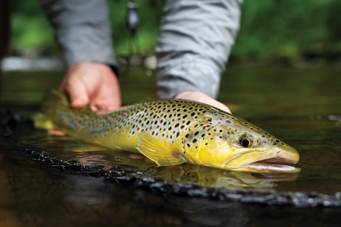 Coffey holds a trout he caught