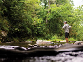 Dustin Coffey fly-fishing in the Watauga River
