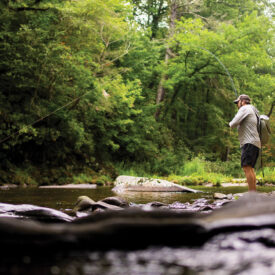Dustin Coffey fly-fishing in the Watauga River